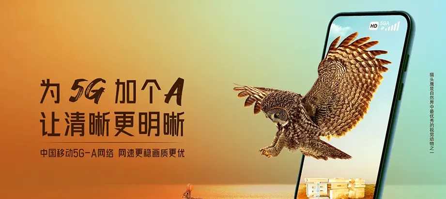 岳阳县岳阳县东洞庭湖管委会 移动宽带